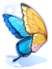 의상 큰보라 제비나비의 날개 이미지