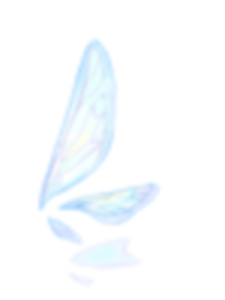 [비매품]파리의 날개 이미지