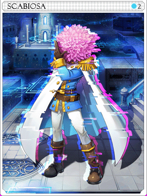 스카비오사 카드 이미지