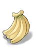열대의 바나나 이미지