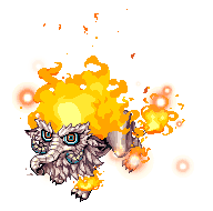 불가사리 이미지